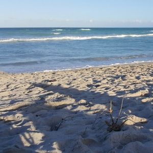 Meet your Posher, Ariel